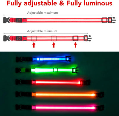 LED Light up Dog Collar Adjustable USB Rechargeable Super Bright Safety Light Glowing Collars for Dogs(Medium,Red)