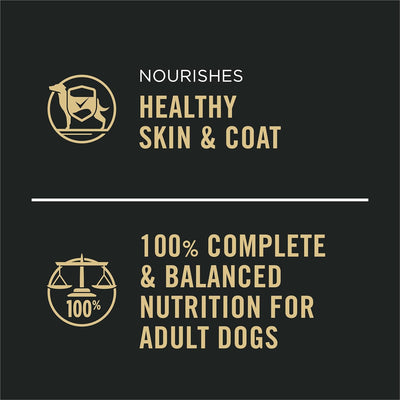Complete Essentials, Beef and Vegetables Entree in Wet Dog Food with Gravy - (Pack of 12) 13 Oz. Cans