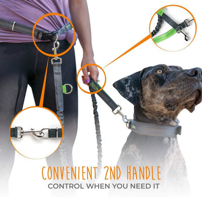 Mighty Paw Hands Free Dog Leash | Bungee Waist Leash for Dog Walking. Pet Running Hands Free Tether for Large, Medium & Small Breeds. Pet Waist Belt (36" - 48") up to 150 Lbs - Gray